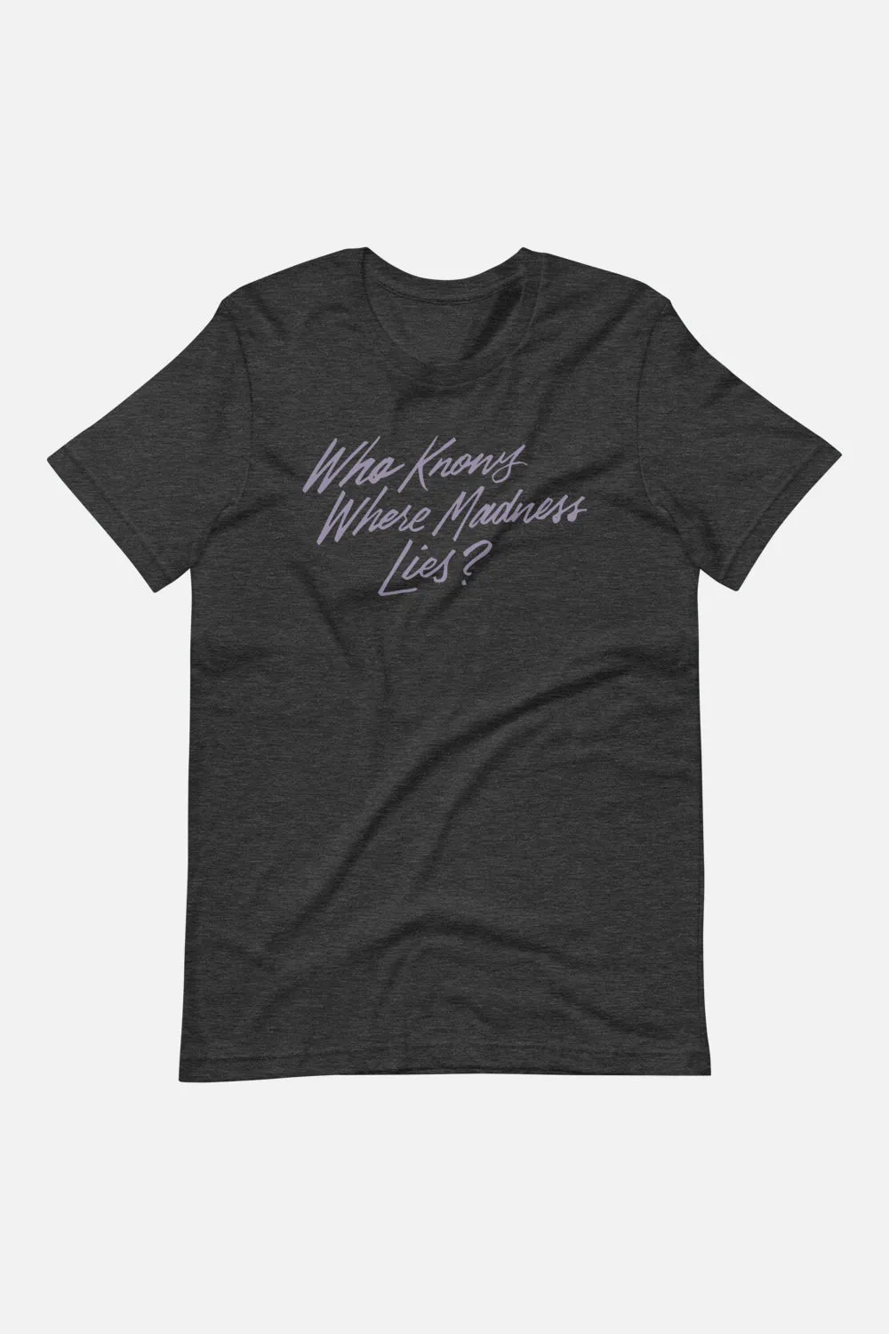 Who Knows Where Madness Lies? Unisex T-Shirt | Don Quixote