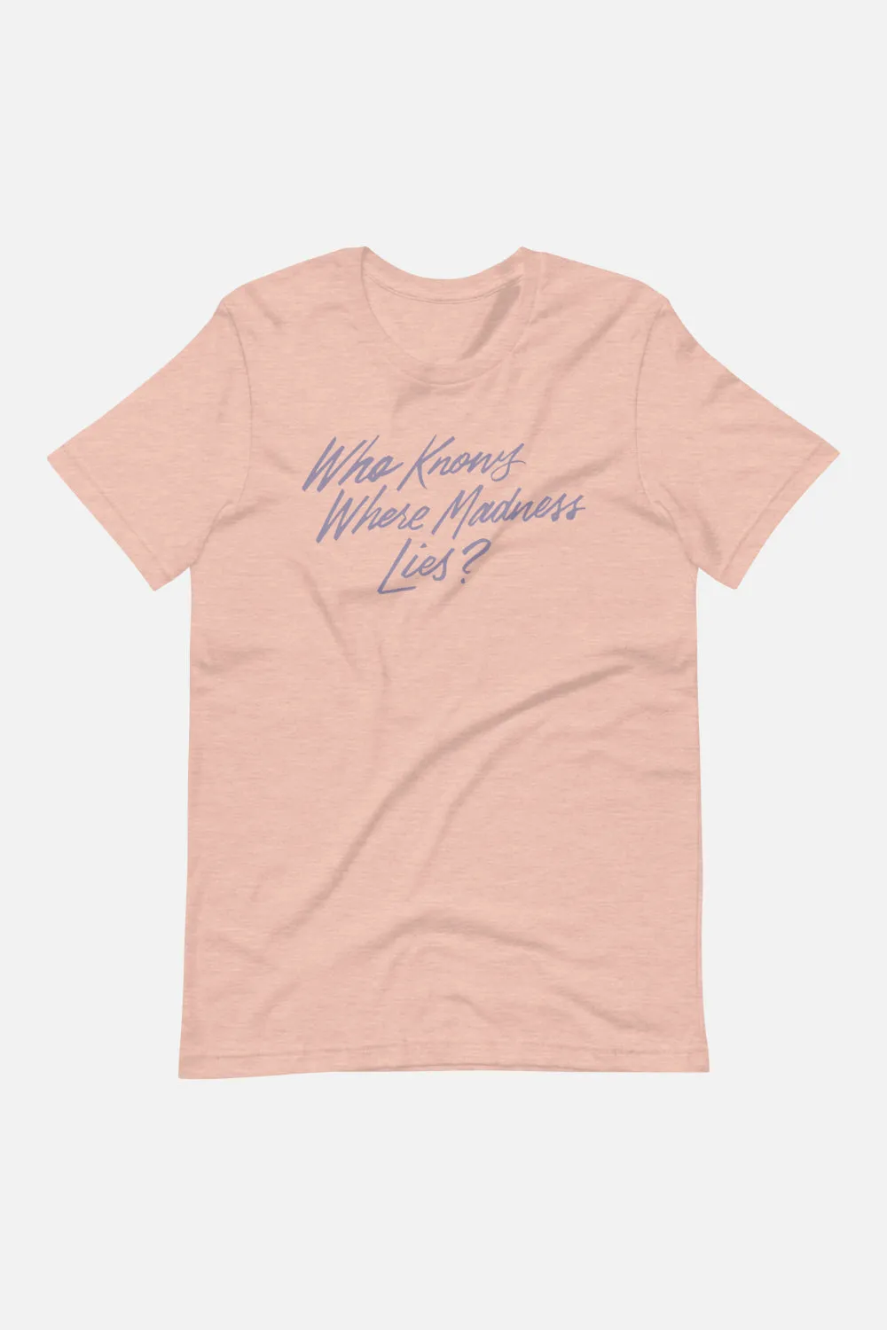 Who Knows Where Madness Lies? Unisex T-Shirt | Don Quixote
